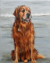 Hundegemälde Golden Retriever von Andy Steinbauer