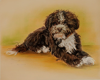 Hundeportrait in Pastell