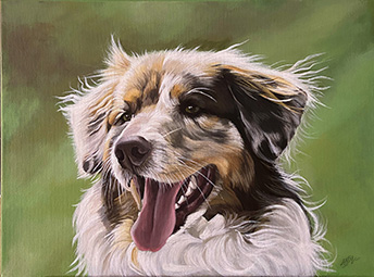 Hundeportrait in Acryl, Andy Steinbauer