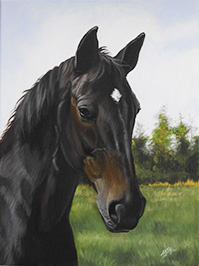 Pferdegemälde in Acryl