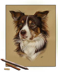 Titelbild Hundeportraits